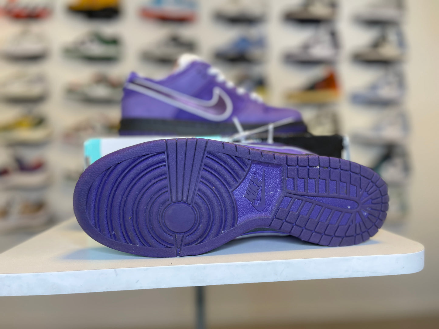 Nike SB Dunk Low Concepts Purple Lobster