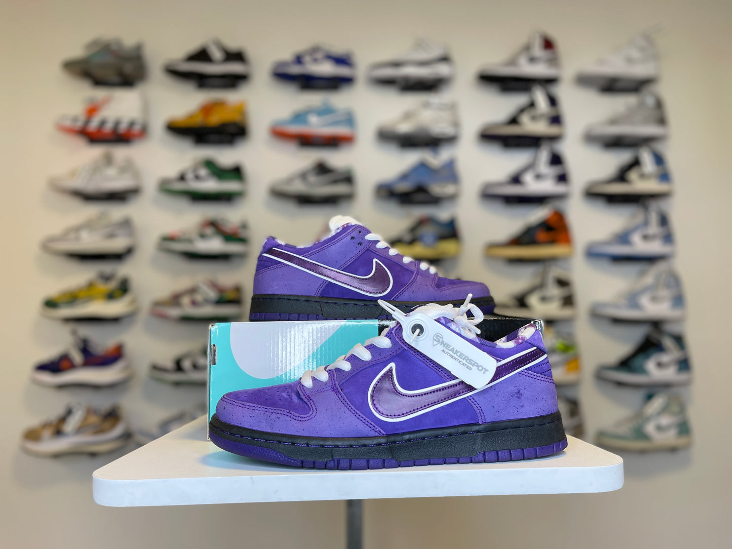 Nike SB Dunk Low Concepts Purple Lobster